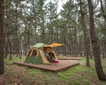 연곡 솔향기 캠핑장 a 구역_2