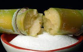 폴리코사놀 효능 부작용 (3주 섭취 후기)