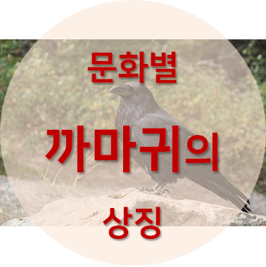 문화마다 다른 까마귀의 상징을 다룬 포스팅의 섬네일