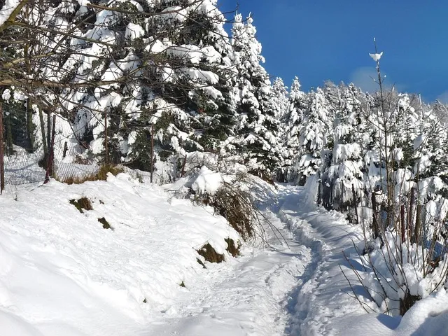 피스마이너스원 하이볼 마시는 방법과 추천 레시피_8