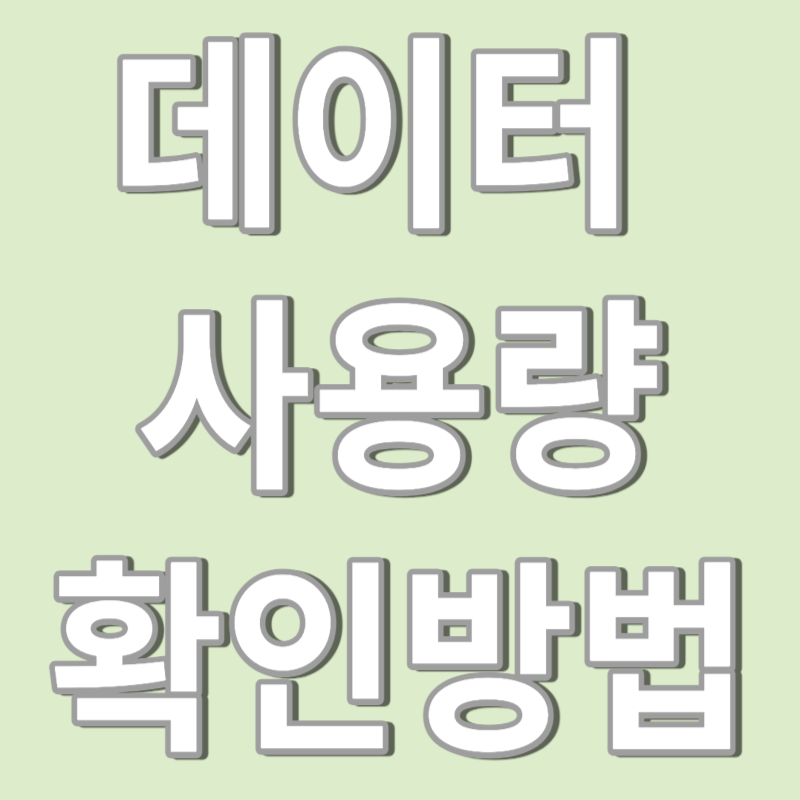 데이터 사용량 확인방법