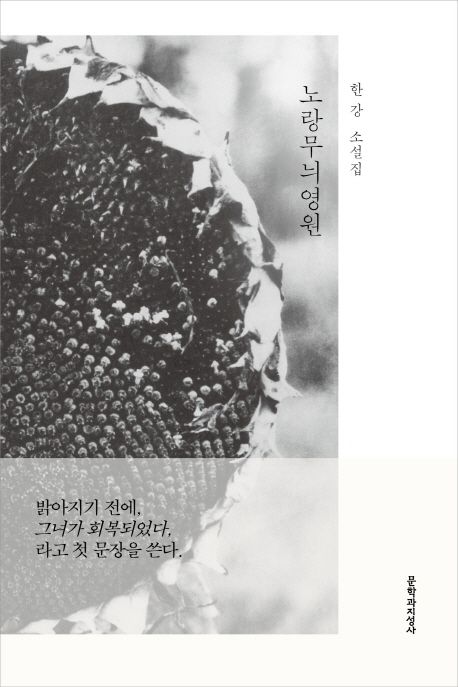 한강작가