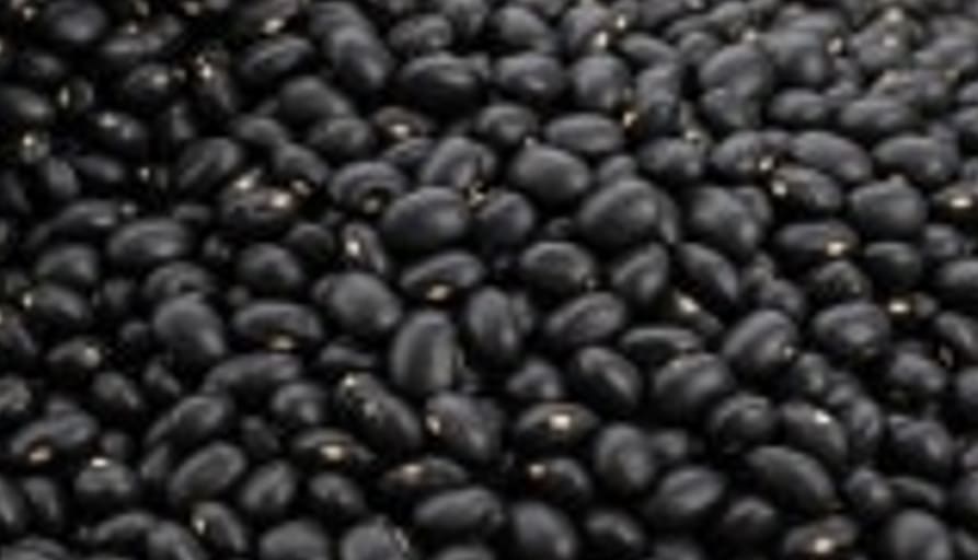 검은콩 효능의 검은콩4