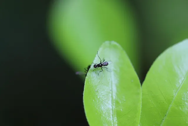패혈증이란 무엇인지 원인 증상 치료 예방법_1