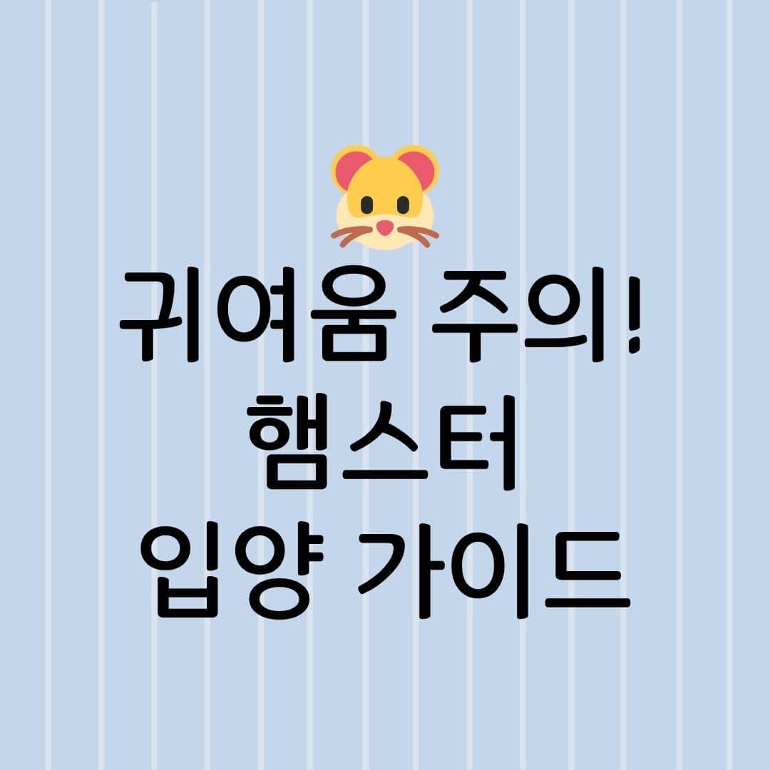 귀여움 주의! 햄스터 입양 가이드