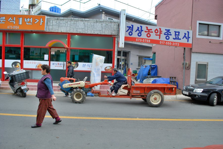 고성군 회화면 배둔리 마을 풍경