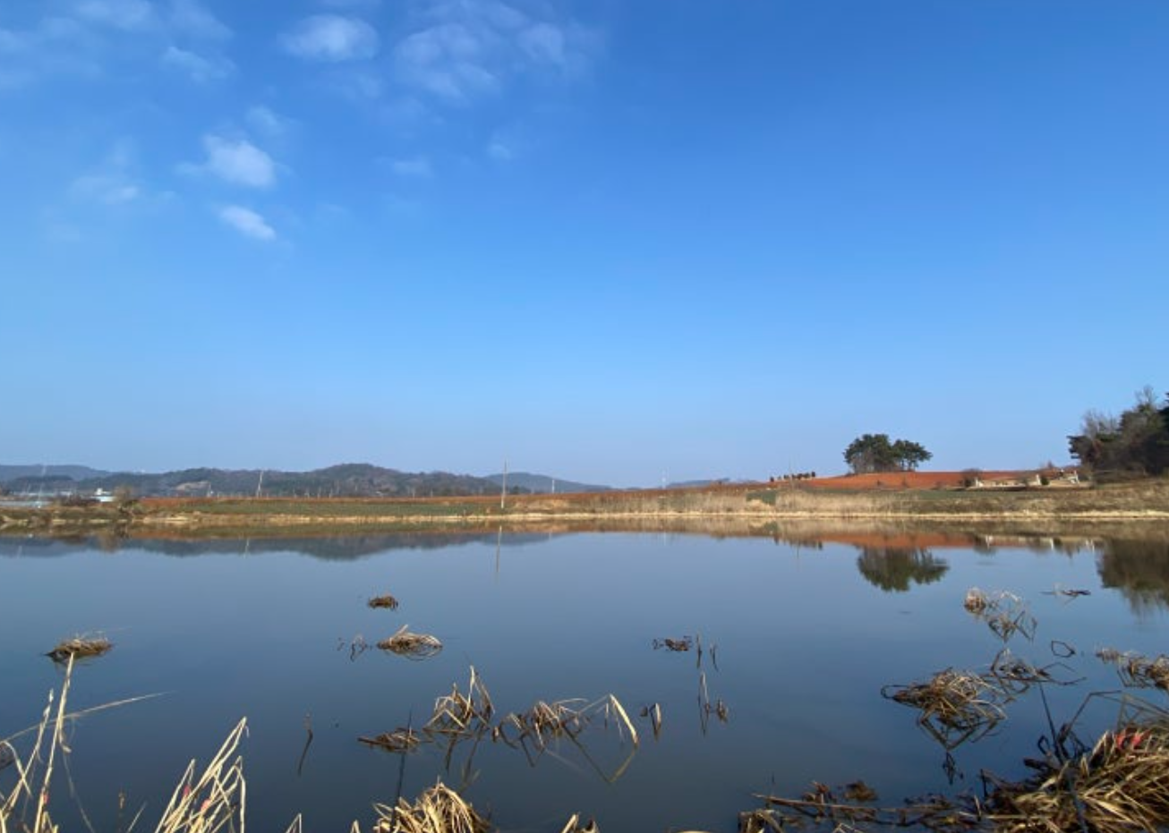 붕어낚시터-사진