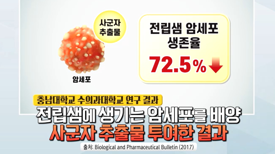 전립선 비대증에 좋은 사군자