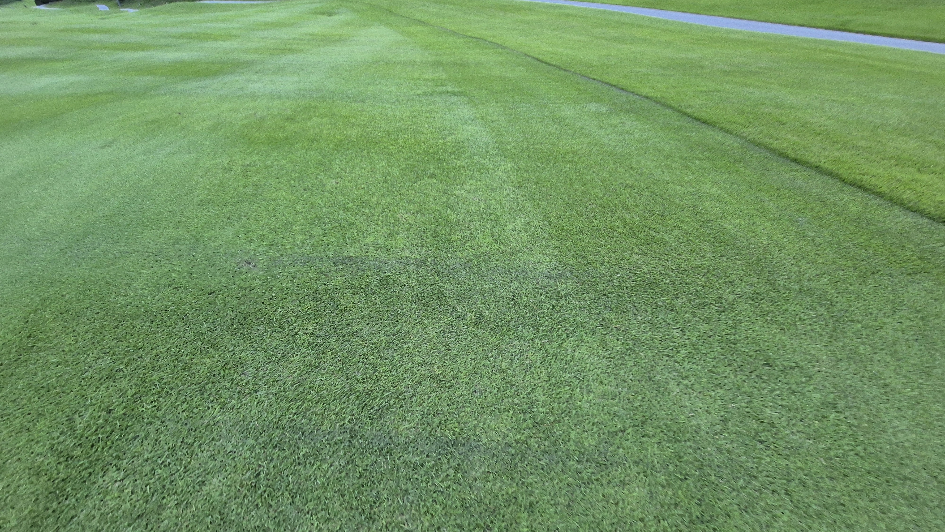 오크힐스cc 코스관리 상태