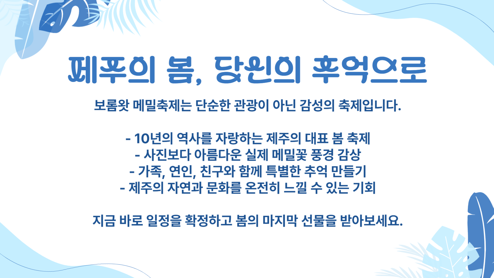 제주 보롬왓 메밀축제