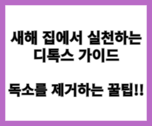 새해 집에서 실천하는 디톡스 가이드