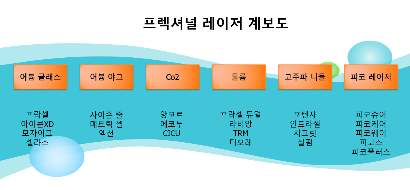 프렉셔널 레이저 계보도