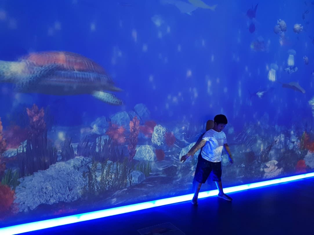 국립해양생물자원관 실내 전시관에서 체험 중인 아이