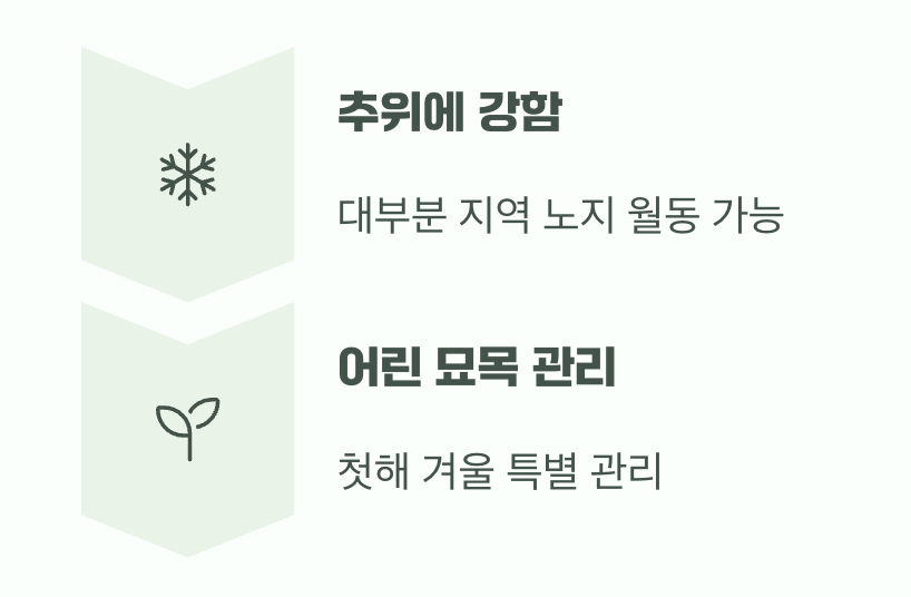 비결 5. 추운 겨울도 거뜬하게, '월동'