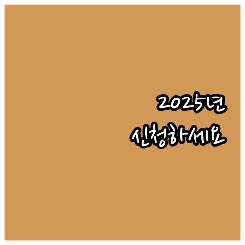 2025년 서울시 산모신생아 건강관리..