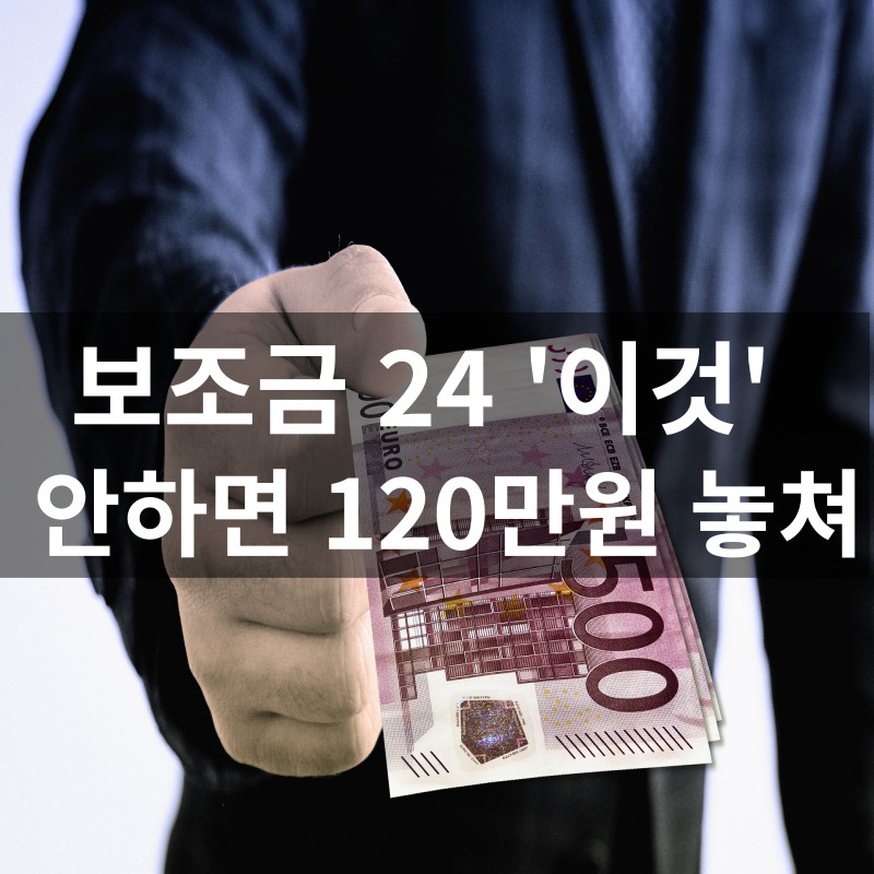 보조금24홈페이지신청