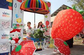 제 14회 밀양 삼랑진 딸기시배지 축제 기본일정과 프로그램 소개