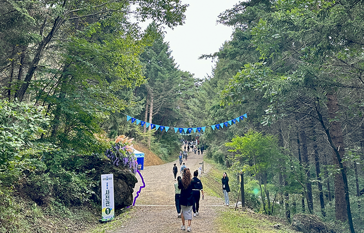 제20회 광릉숲축제 2025 완전 가이드 - 1년에 단 한 번 열리는 신비의 유네스코 숲