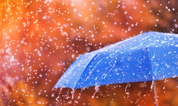 우산과 양산의 종류와 선택 요령!