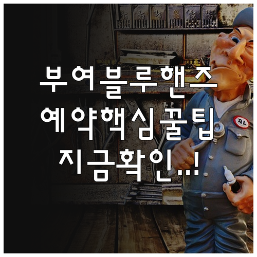 부여 블루핸즈 예약 방법과 인근 지역..
