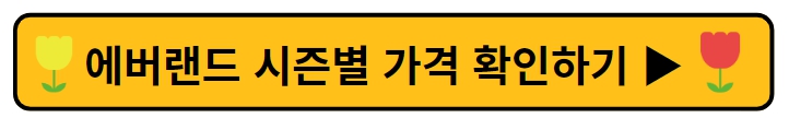 에버랜드 튤립축제
