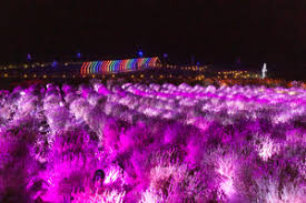 8월 제주도 가볼만한곳10곳