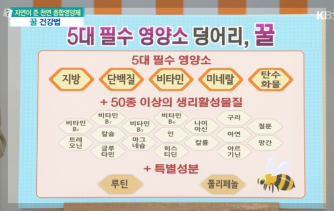 5대필수영양소
