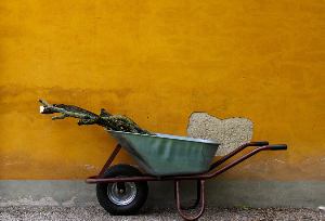 왜 다시 느려지는가? 재발 패턴 7가지와 막는 유지 장치