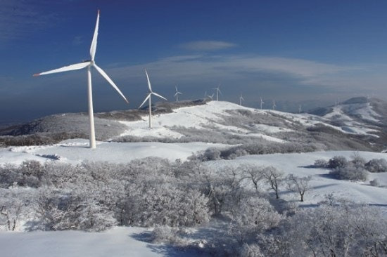 겨울 3주만 볼 수 있는 선자령 눈꽃 절경 트레킹 명소