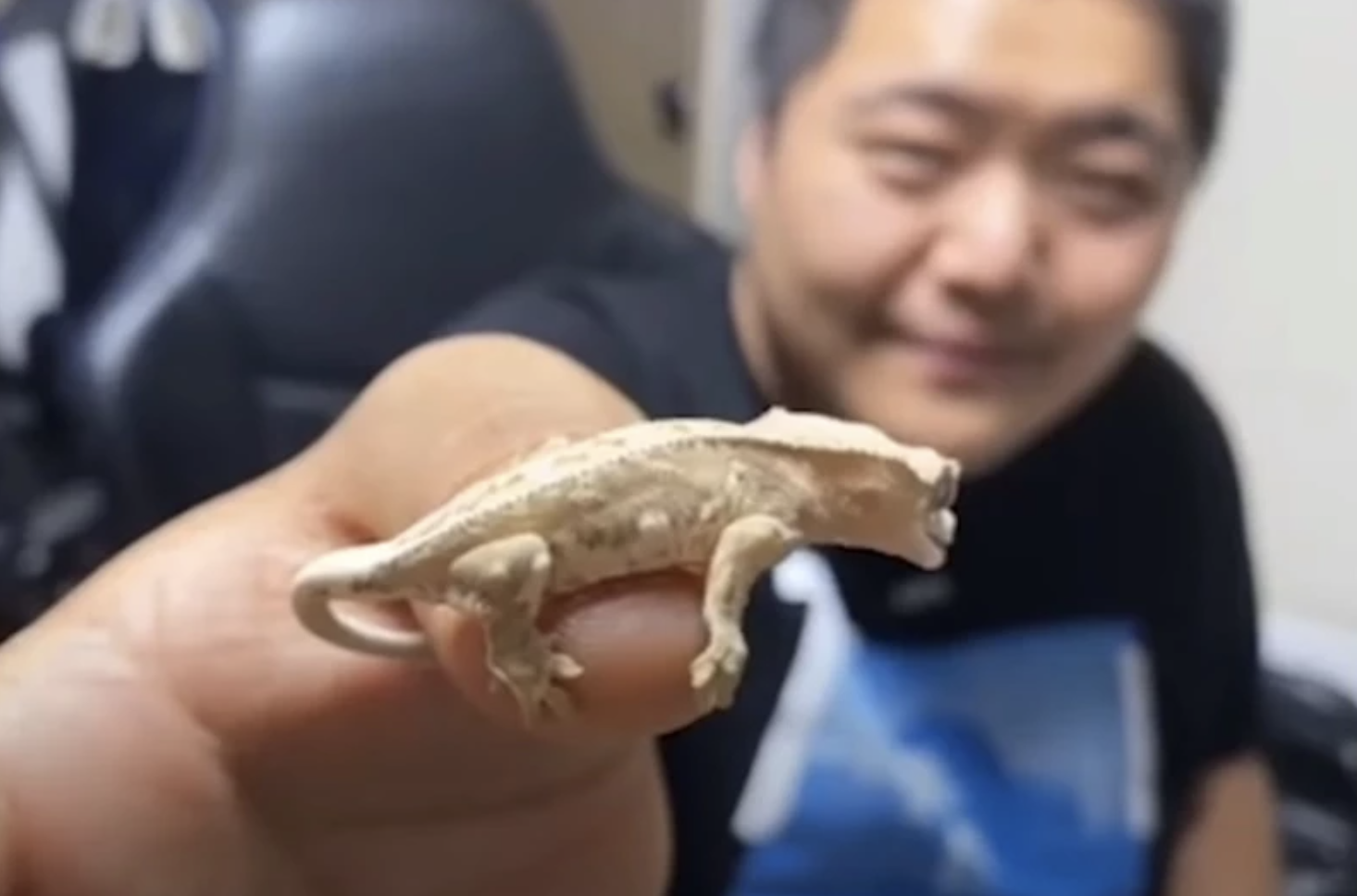 공혁준6