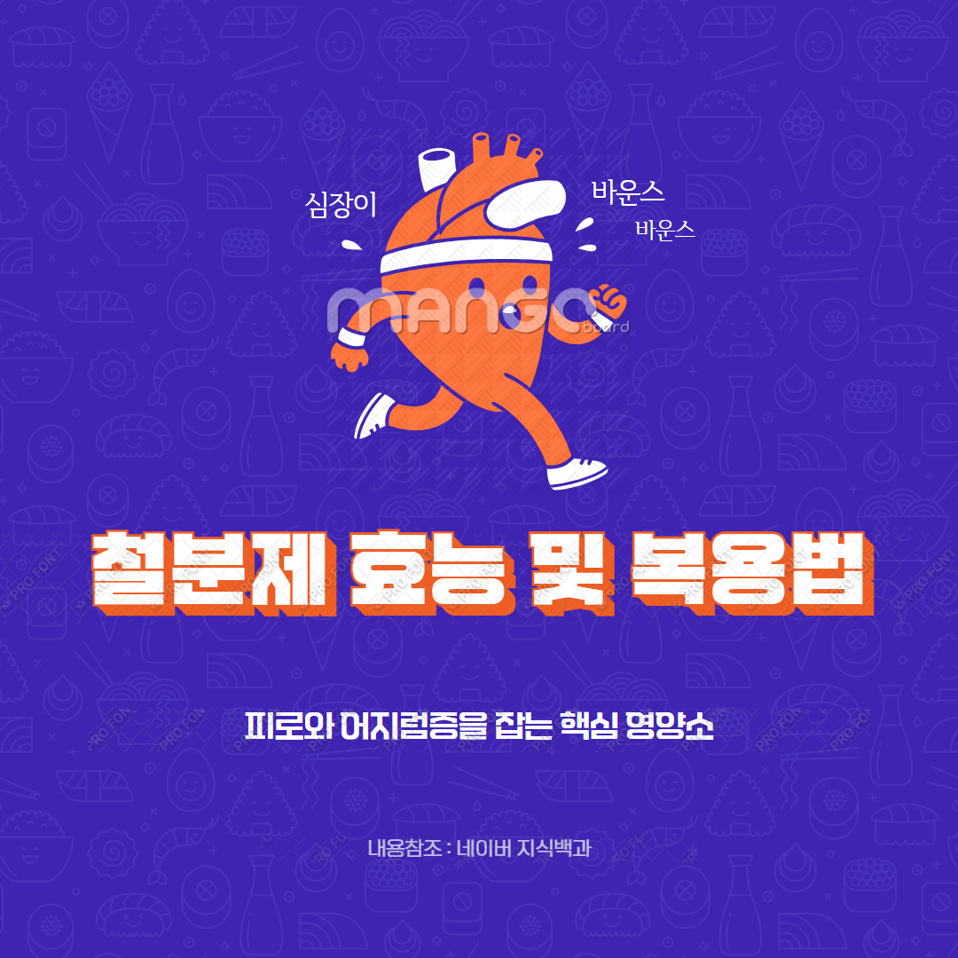 철분제 효능 및 복용법