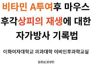 비타민 A 상피세포 재생 논문