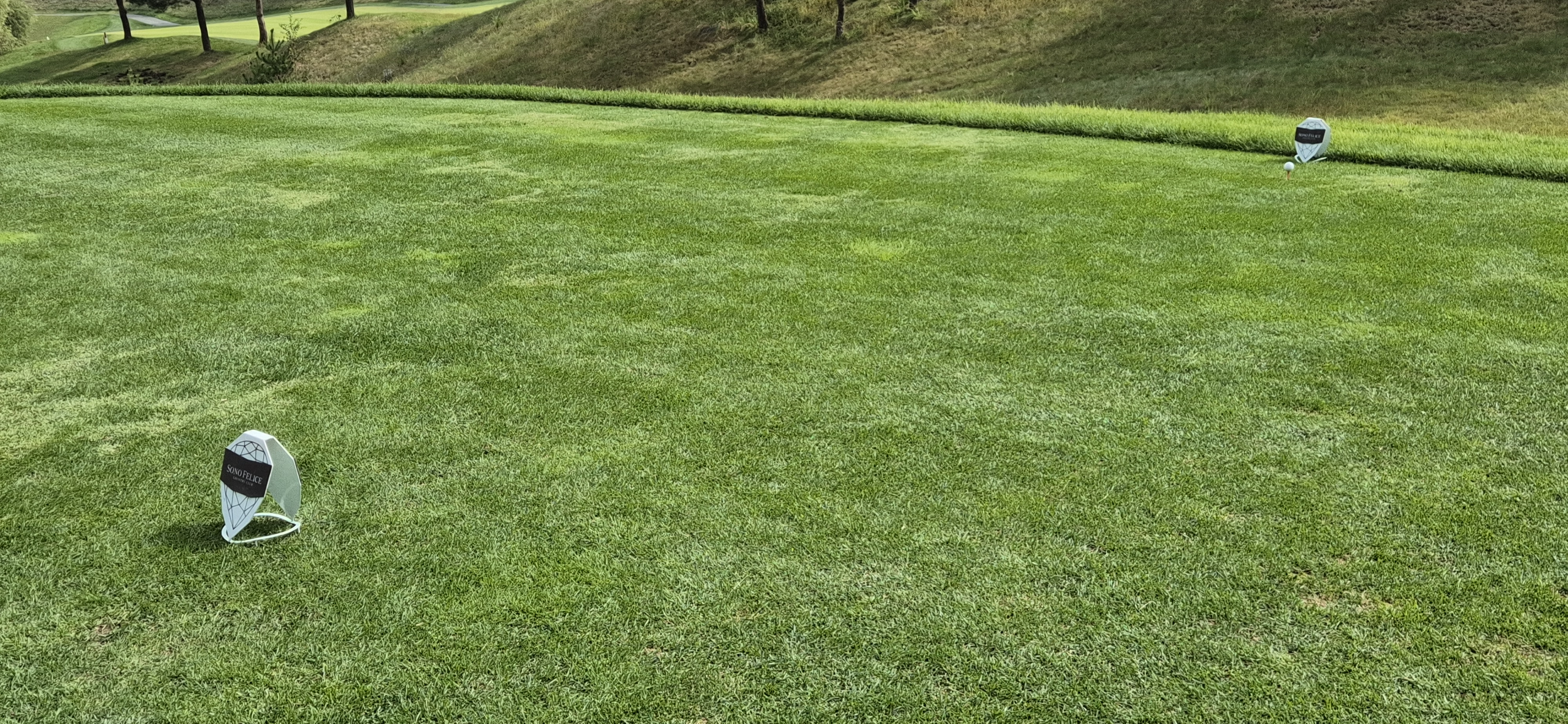 소노팰리체cc이스트