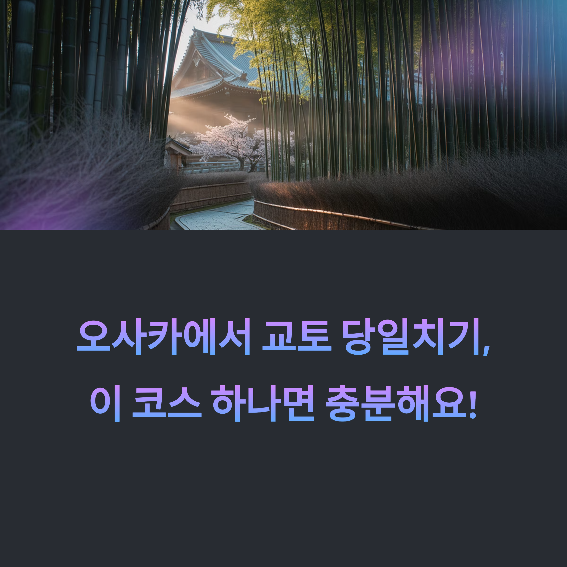 오사카에서 교토 당일치기