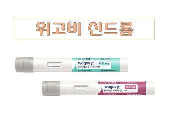 위고비(Wegovy)