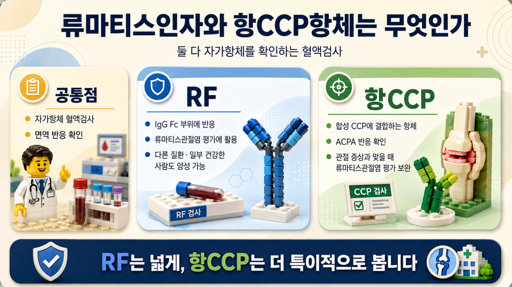 류마티스인자(RF)와 항CCP항체의 정의, 자가항체 특징과 검사 목적을 설명한 메디컬 인포그래픽