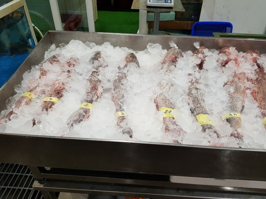 생생정보 미스터 Lee