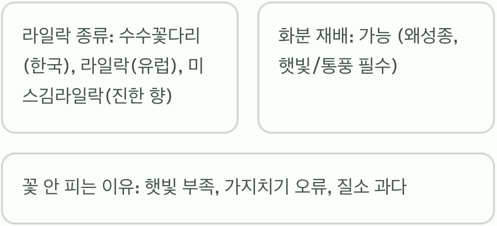 향기 가득 라일락 키우기 A to Z (묘목 심기, 물주기, 가지치기 총정리)