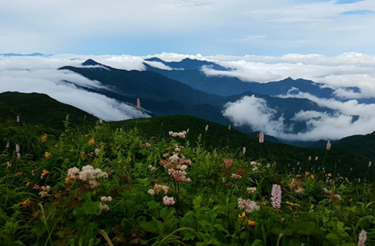 덕유산 케이블카