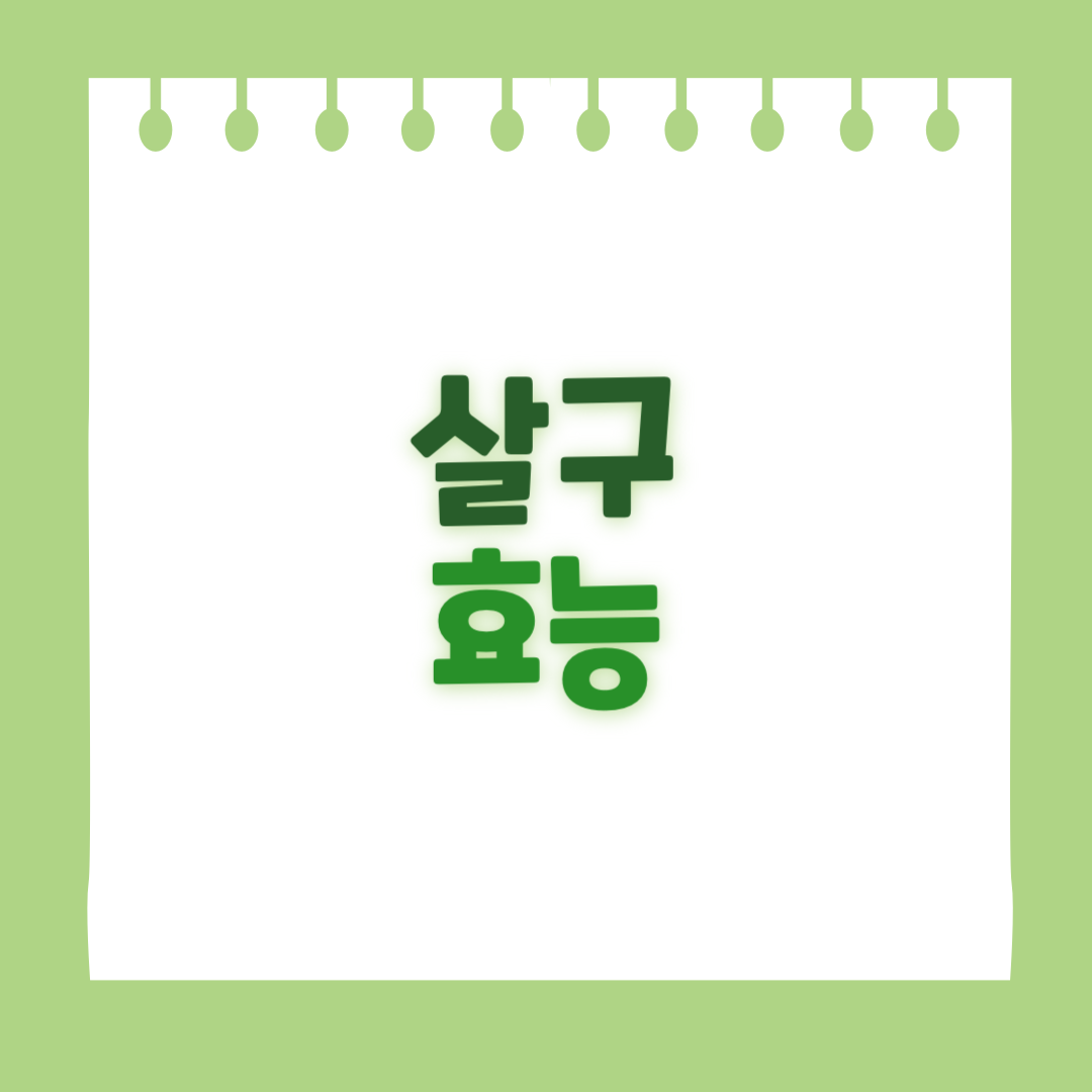 살구의 효능