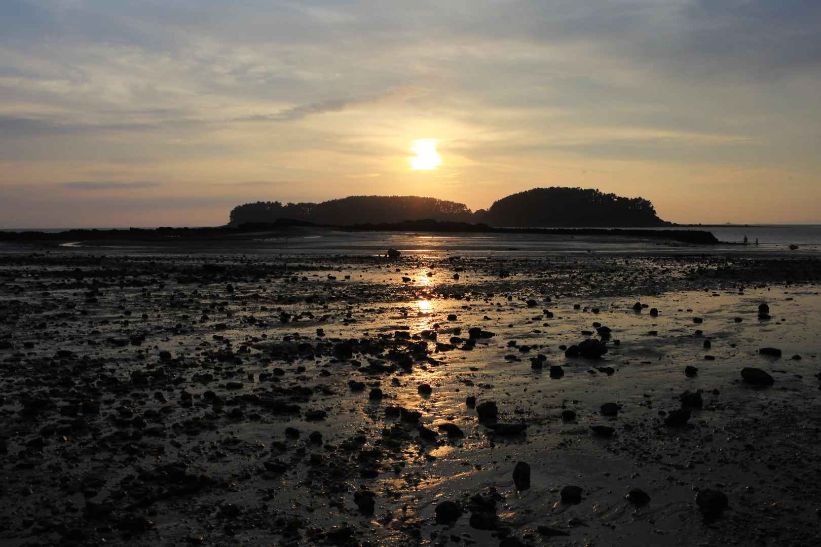 2025 무창포 신비의 바닷길 + 주꾸미 도다리축제｜먹거리&middot;체험&middot;일정 정리