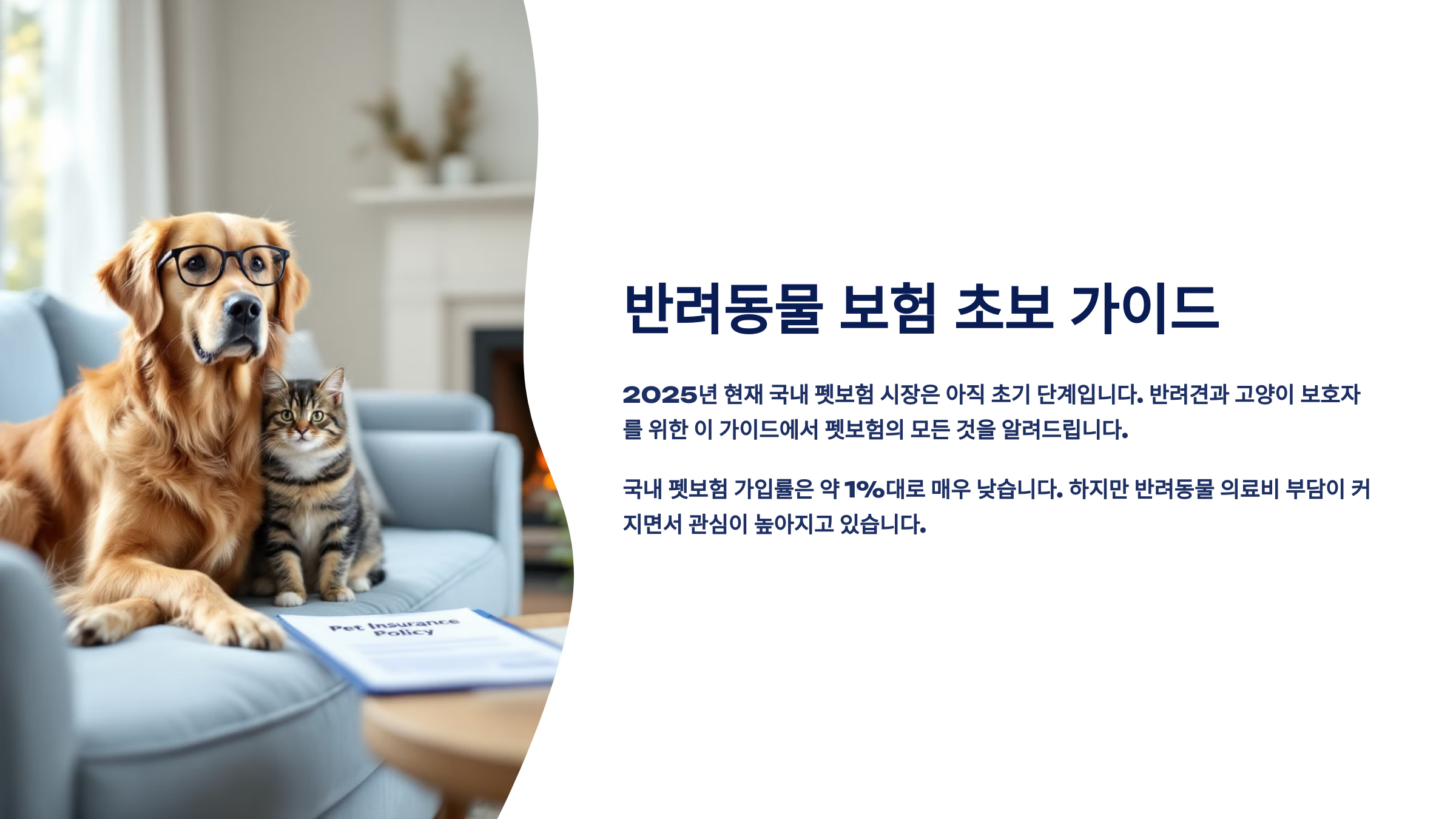 반려동물 보험 초보 가이드: 자주 묻는 질문과 답변 모음
