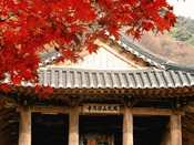 단풍여행 1박2일 버스 단풍구경