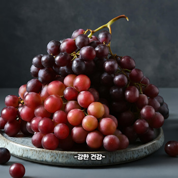 포도 효능