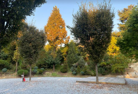 파이브이모션 캠핑장 K존