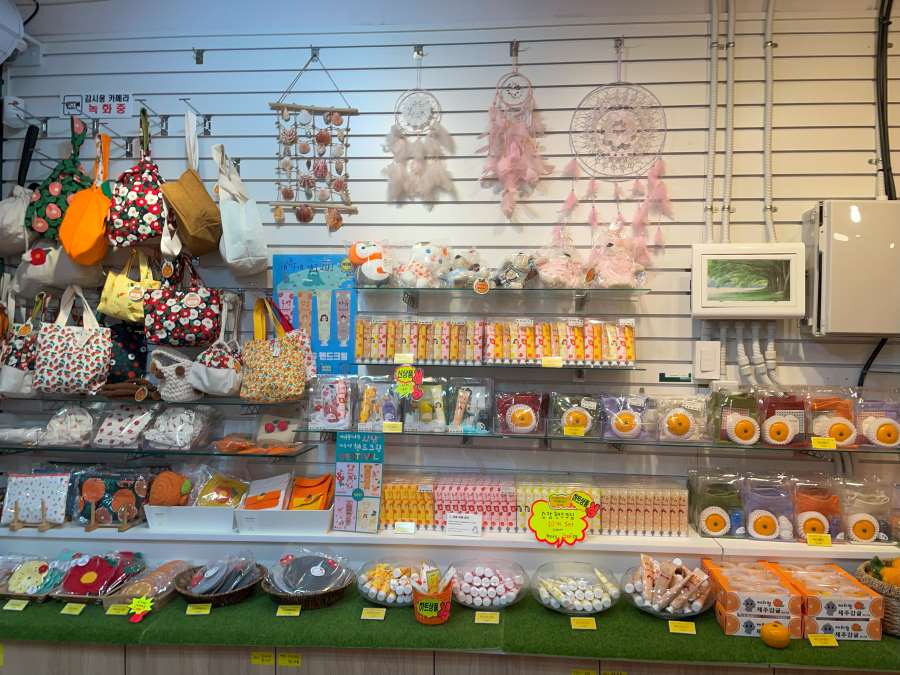 서귀포-올레시장-소품샵-추천