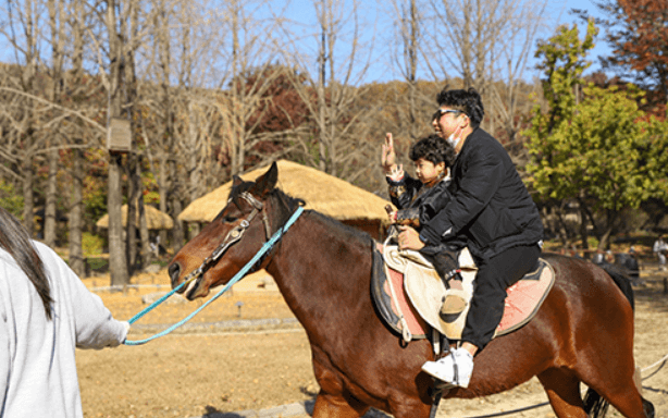 경기도 용인시 가볼만한 곳 한국민속촌 운영시간 요금 할인
