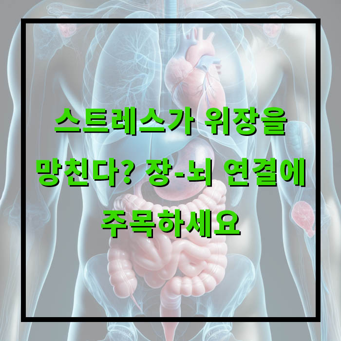 장-뇌 연결. 스트레스가 위장을 망친다?
