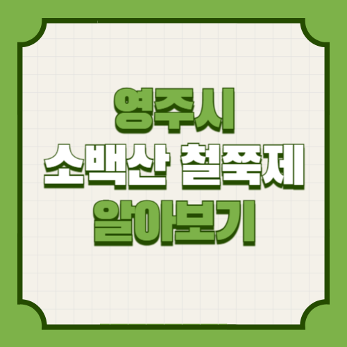 영주 소백산 철쭉제 기본정보 출연진 프로그램