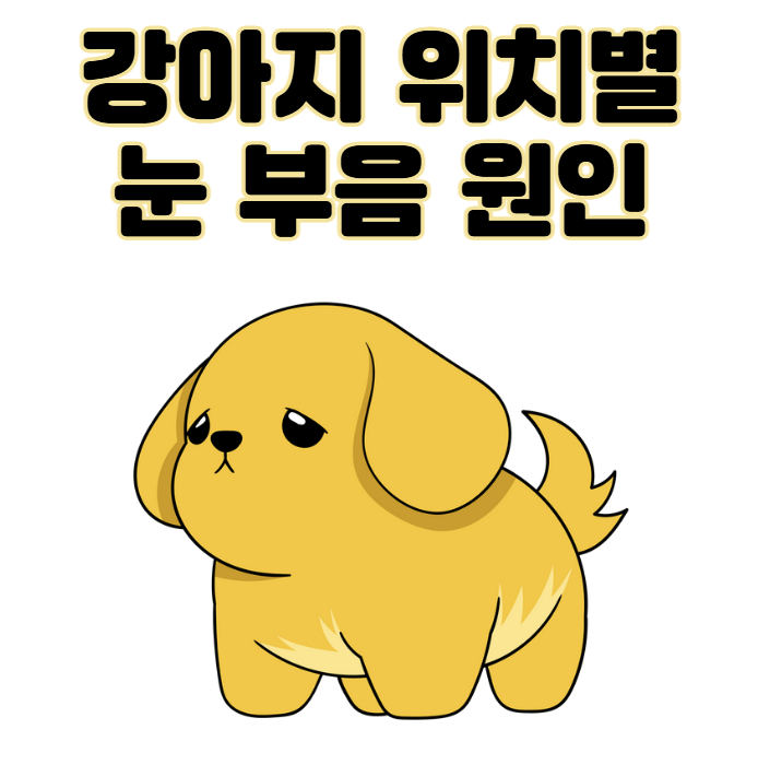 강아지 눈 밑, 위, 한쪽 부음, 위치별 원인부터 관리 팁